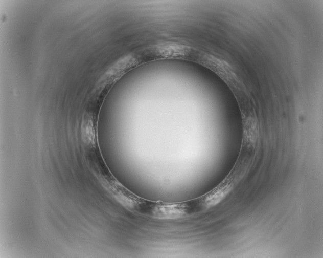 X0000060240622200510281120