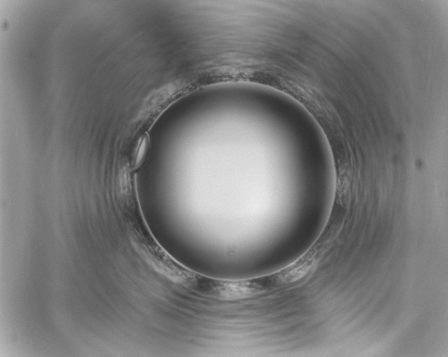 X0000060240623200510281120