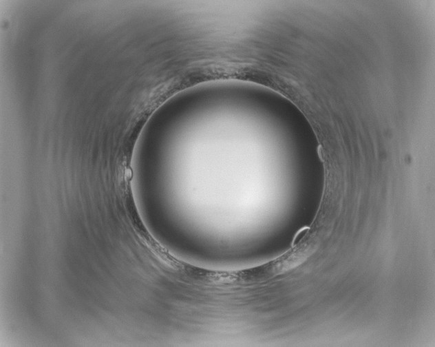 X0000060240624200510281120