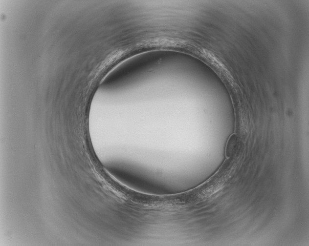 X0000060240625200510281120