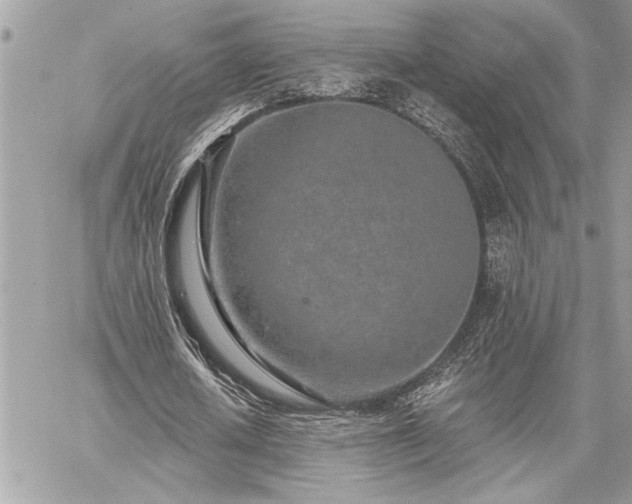 X0000060240626200510281120