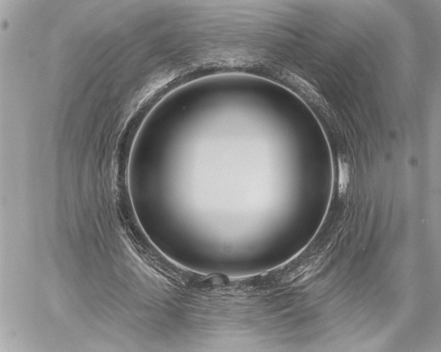 X0000060240627200510281120