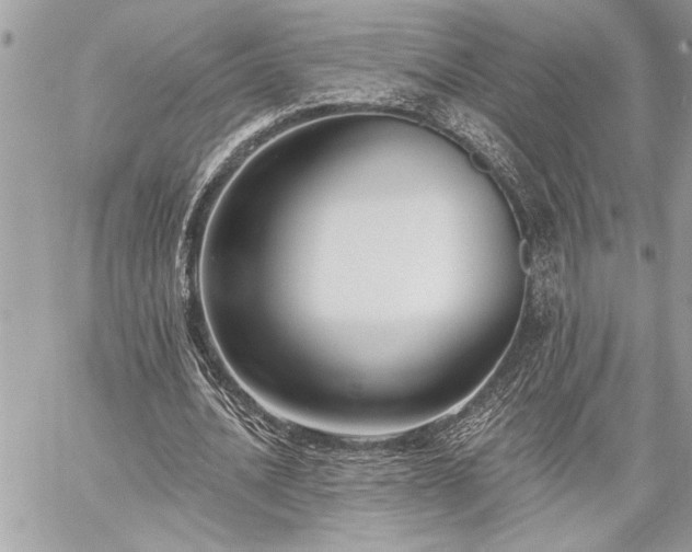 X0000060240628200510281120