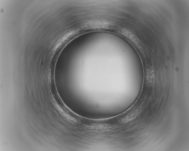 X0000060240629200510281120