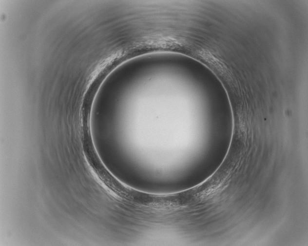 X0000060240630200510281120