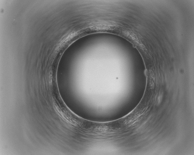 X0000060240631200510281120