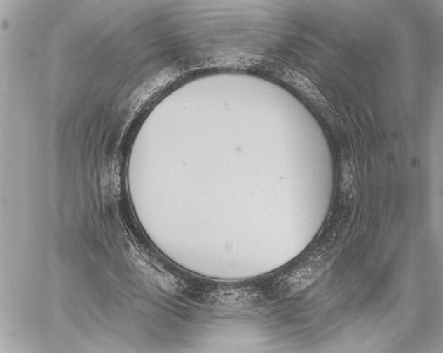 X0000060240632200510281120