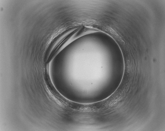 X0000060240634200510281120