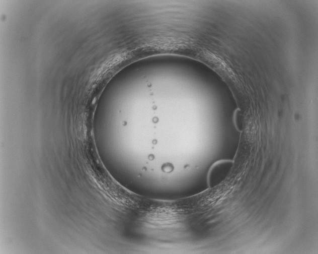 X0000060240635200510281120