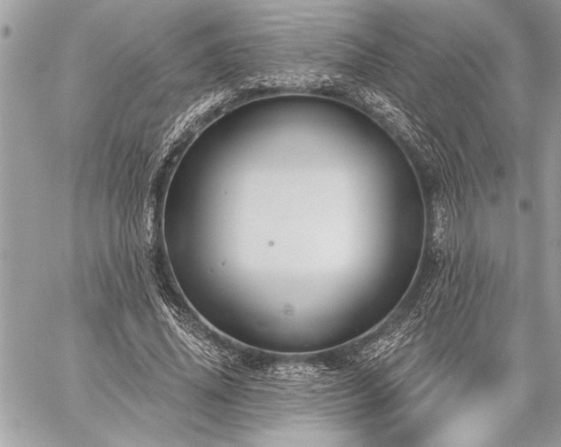 X0000060240636200510281120