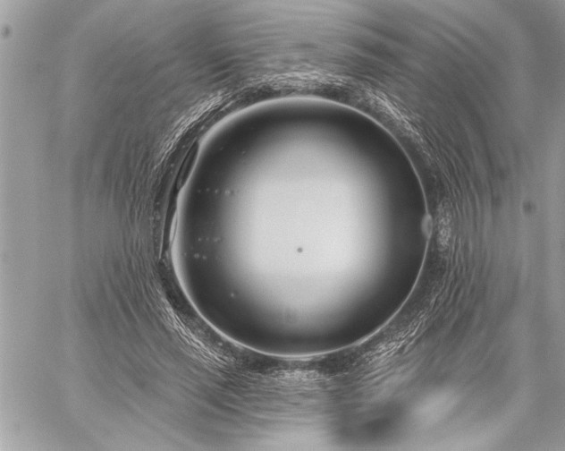 X0000060240637200510281120