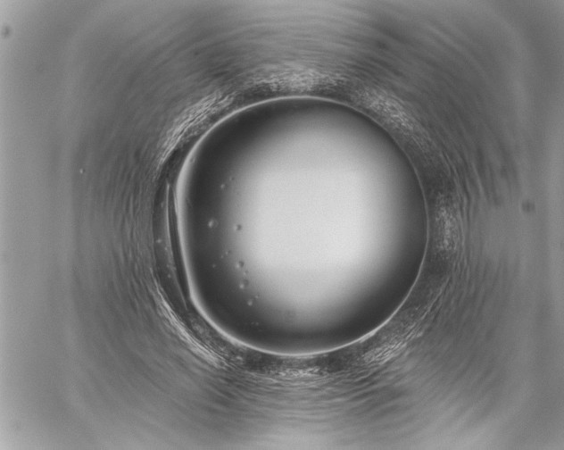 X0000060240638200510281120