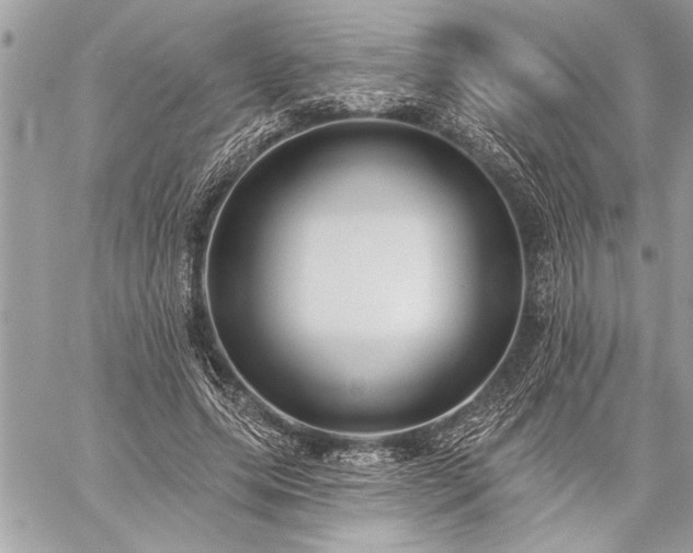 X0000060240639200510281120