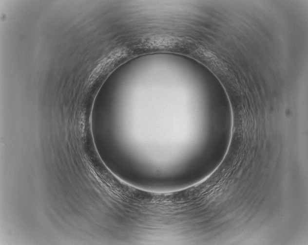 X0000060240640200510281120