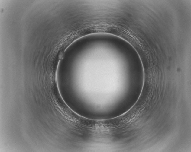 X0000060240641200510281120