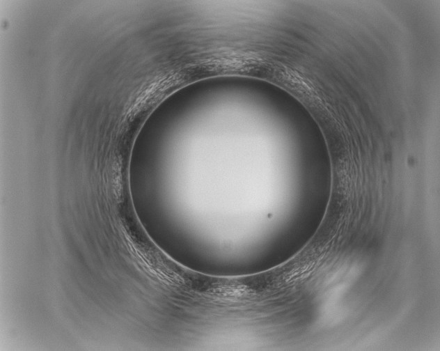 X0000060240642200510281120