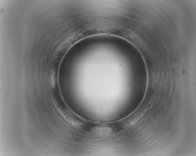 X0000060240644200510281120