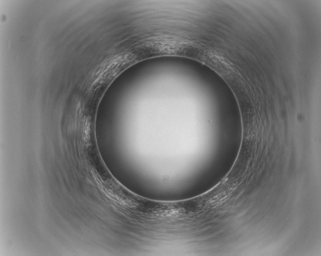 X0000060240646200510281120