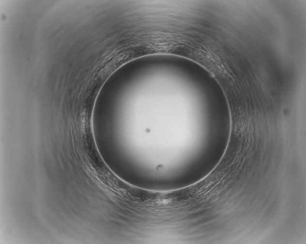 X0000060240647200510281120