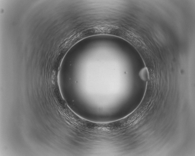 X0000060240649200510281120