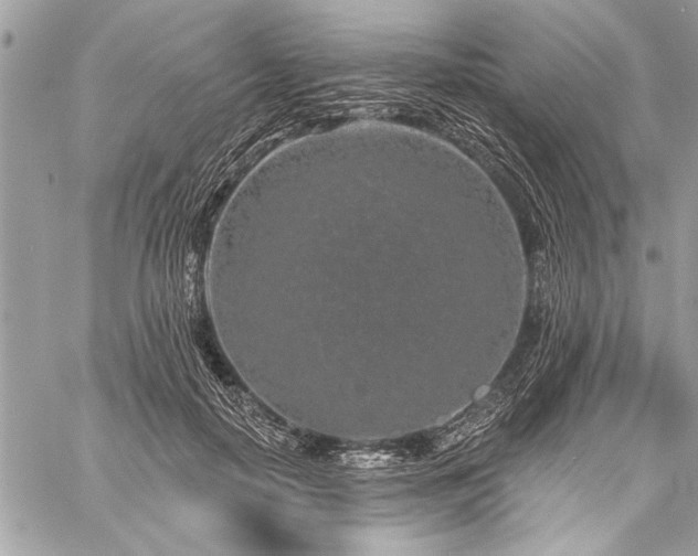 X0000060240650200510281120