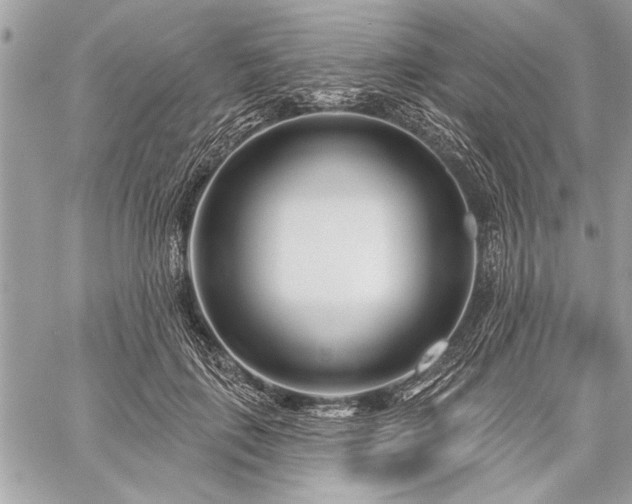 X0000060240651200510281120