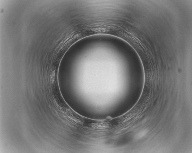 X0000060240652200510281120