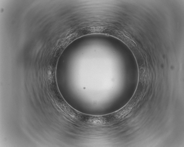 X0000060240655200510281120