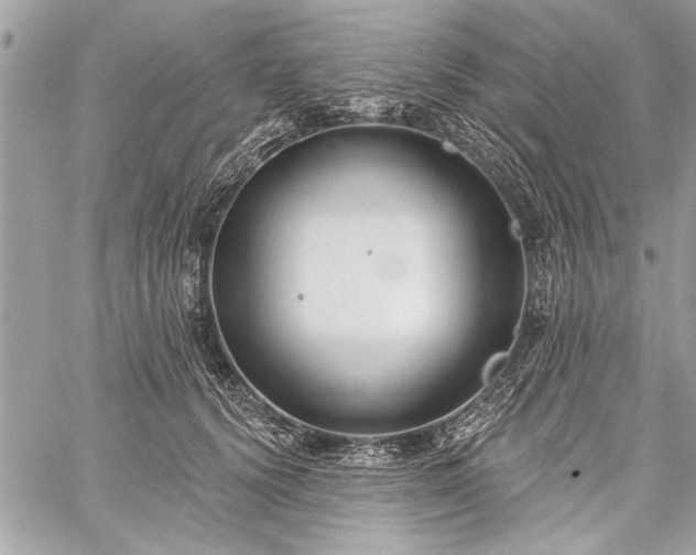 X0000060240656200510281120