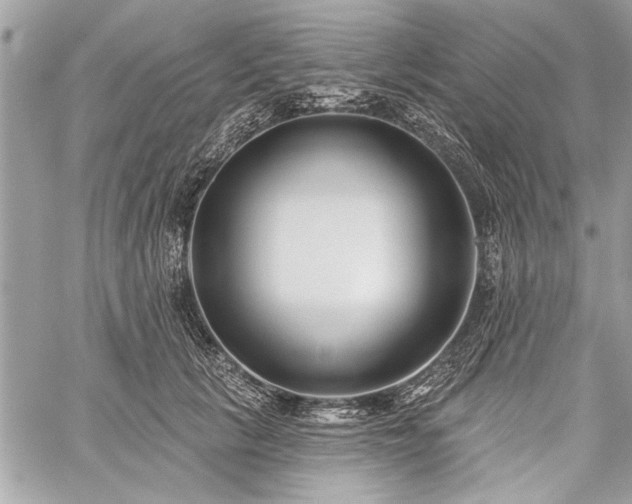 X0000060240657200510281120