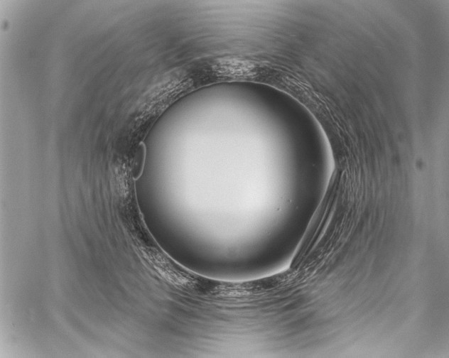 X0000060240658200510281120