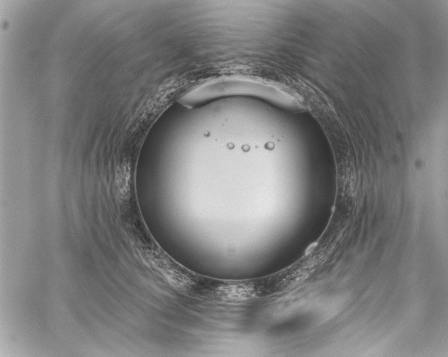 X0000060240660200510281120