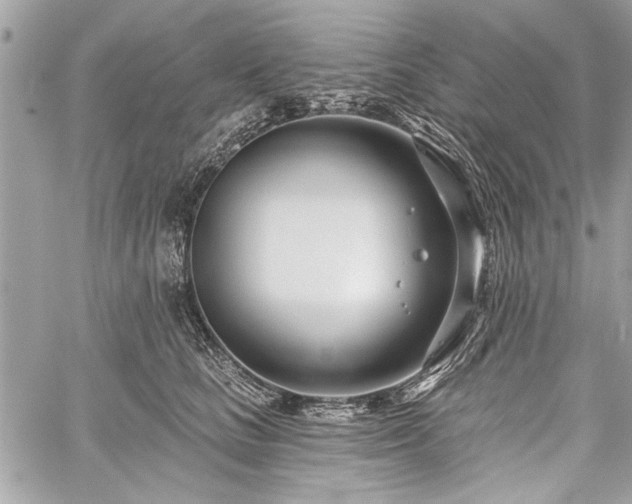 X0000060240661200510281120