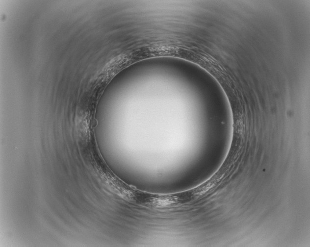 X0000060240662200510281120