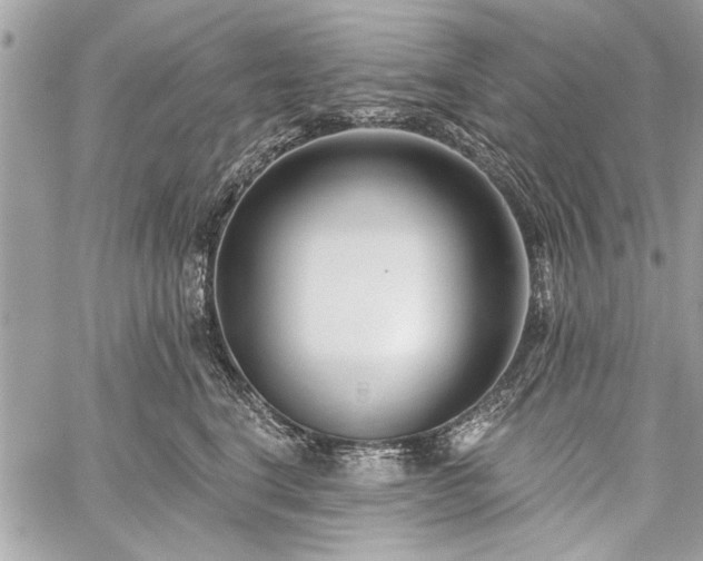 X0000060240664200510281120