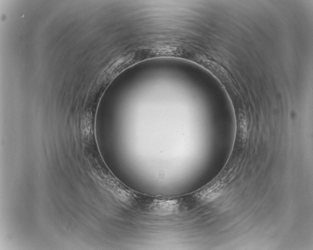 X0000060240665200510281120