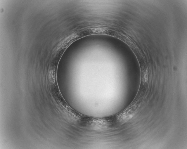 X0000060240666200510281120