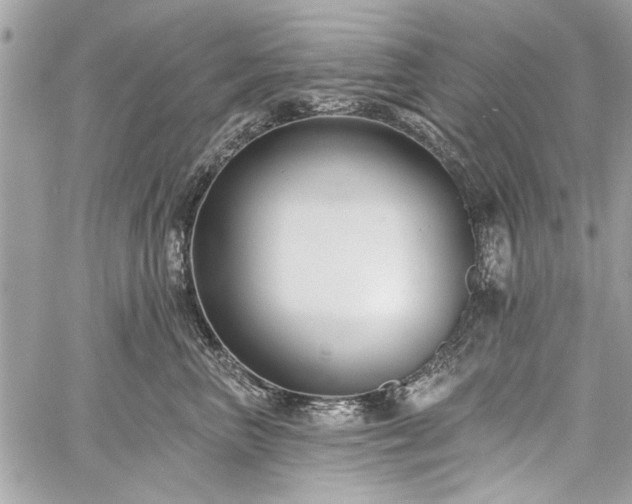 X0000060240667200510281120