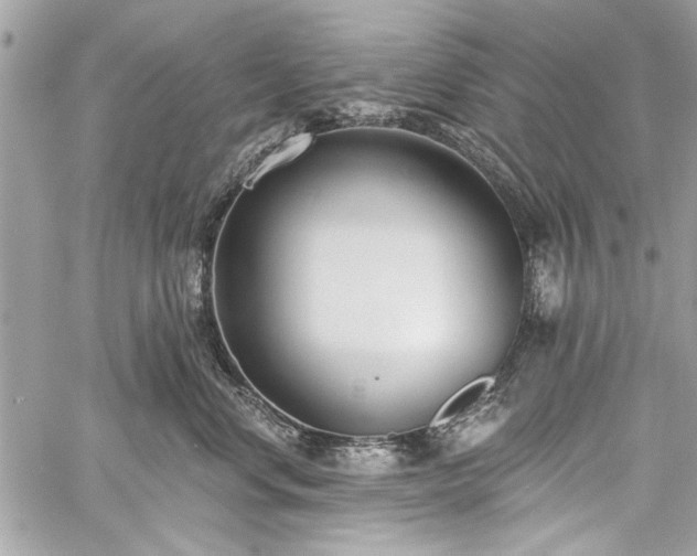 X0000060240668200510281120