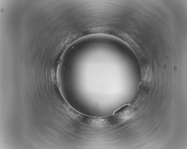 X0000060240669200510281120