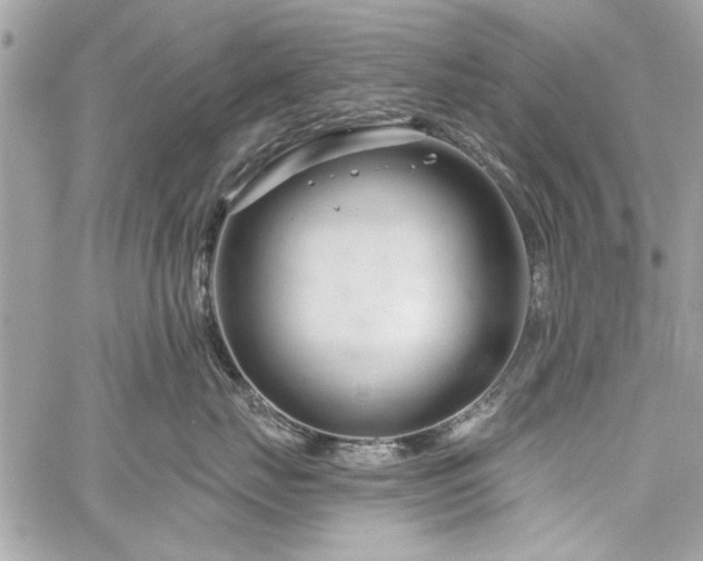 X0000060240671200510281120