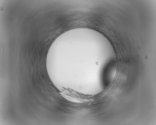 X0000060240672200510281120