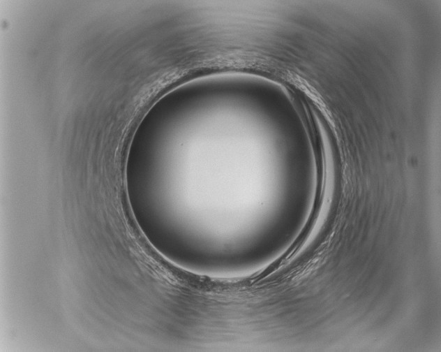 X0000060240673200510281120