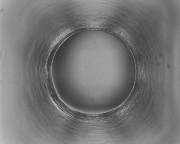 X0000060240674200510281120