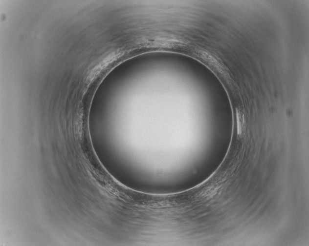 X0000060240675200510281120