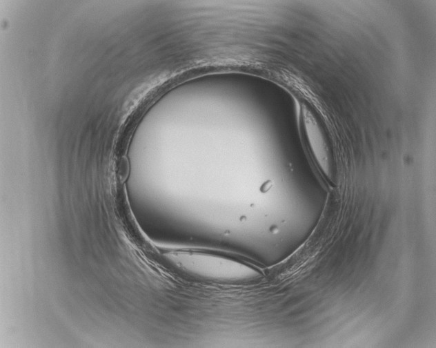 X0000060240676200510281120