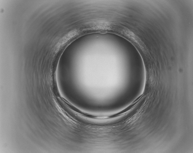 X0000060240677200510281120