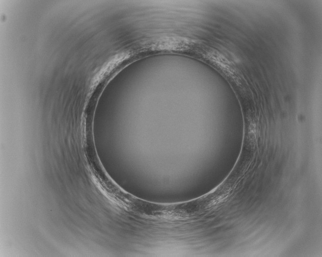 X0000060240678200510281119