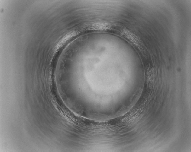 X0000060240679200510281119