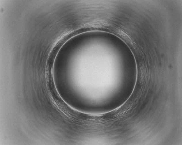 X0000060240680200510281119